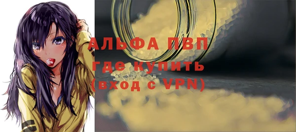 индика Арсеньев