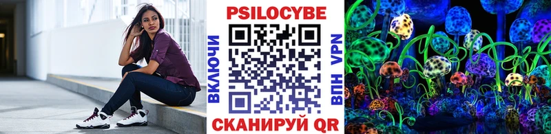 Купить где  Плёс  Псилоцибиновые грибы мухоморы 